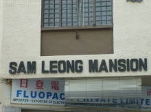 Sam Leong Mansion project photo thumbnail